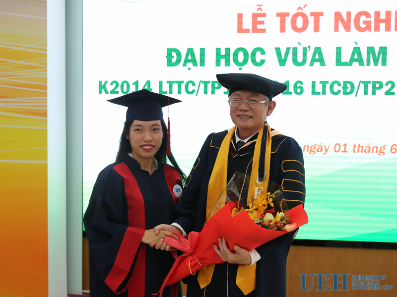 cá cược thể thao hul city